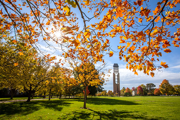 Campus Fall